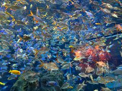 -成都浩海立方海洋公园