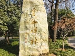 -灵谷景区