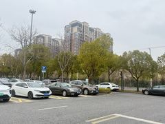 -顾村公园3号门停车场