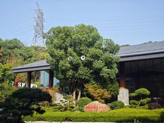 -杭州开元森泊度假乐园