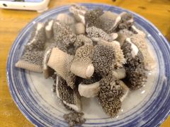 -金生隆(六铺炕店)
