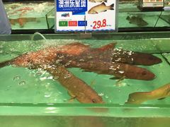 -渔民新村(番禺总店)