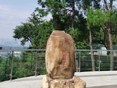 -铁山坪森林公园