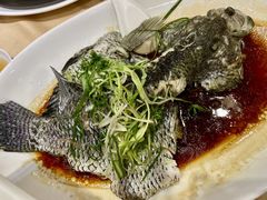 清蒸花斑-鹅公村·国家非遗传承(荔湾店)