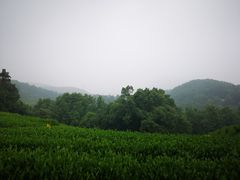 -西湖风景区十里琅珰-五云山
