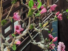 -九炉分座(五彩店)