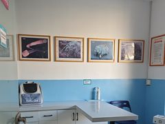 -瑞派福兴宠物医院犬猫全科·骨科·中西医结合(河东店)