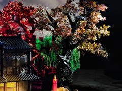 -《驼铃传奇》秀