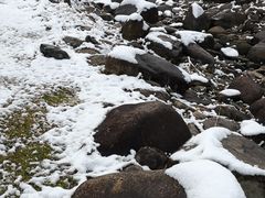 -白塘生态植物园