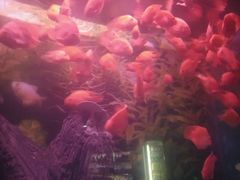 -常州海昌海洋探索馆