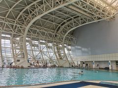 -广西体育中心-游泳馆