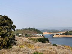 -广州市流溪河国家森林公园