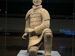 -秦始皇帝陵博物院(兵马俑)