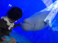 -泉城欧乐堡海洋极地世界