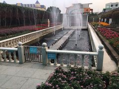 -百万葵园