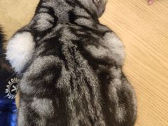 -猫友咖啡店(玉林西路店)