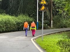 -火炉山森林公园