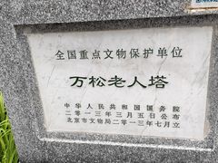 -万松老人塔