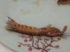 -雅逸居海鲜小厨