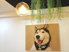 -Husky Go! 哈士奇体验馆·宠物咖啡厅狗咖
