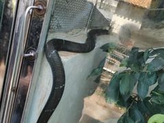 -昆明动物园
