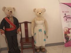 -济州岛泰迪熊博物馆