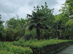 -西溪国家湿地公园