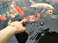 -国色天乡三期陆地乐园