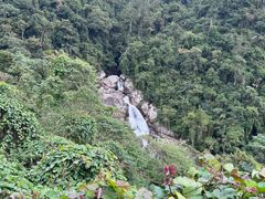-海南热带雨林国家公园吊罗山景区