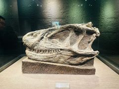 -自贡恐龙博物馆