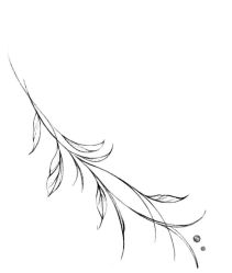 -针牛刺客·刺青纹身