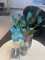 -春田皮肤管理中心品牌旗舰店