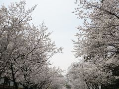 -南京城墙景区
