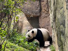 -东莞香市动物园