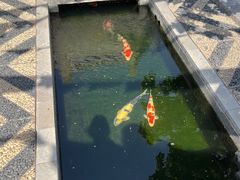 -西安市广仁寺