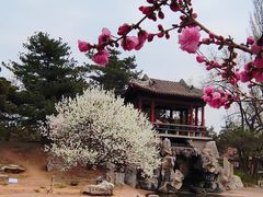 -国家植物园南园