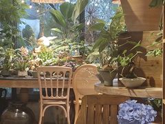 -自由生长植物工作室(深港花卉中心店)