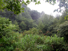 -小格里自然风景区