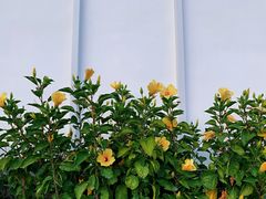 -珠海市博物馆