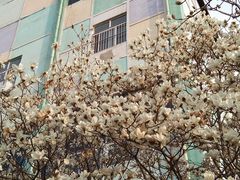 -解放人民公园