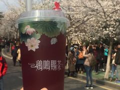 -鸡鸣赐茶(鸡鸣寺路店)