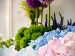 -FEI FEI FLOWER鲜花店·气球派对·宝宝宴布置(虹口德必运动Loft店)