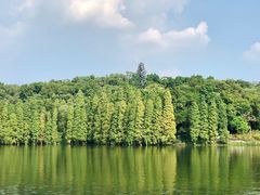 景点-星湖旅游景区七星岩