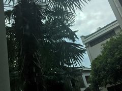 -苏州图书馆(人民路总馆)