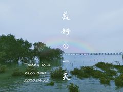 -宝安西湾红树林湿地公园