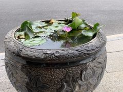 -国恩寺