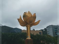-金莲花广场