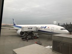 -TIAT DUTY FREE SHOP NORTH(羽田机场店)