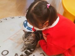 -有喵·猫咖·狗咖·30几只猫10只小狗(岗厦店)