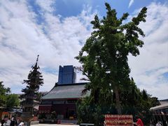 -天津大悲禅院